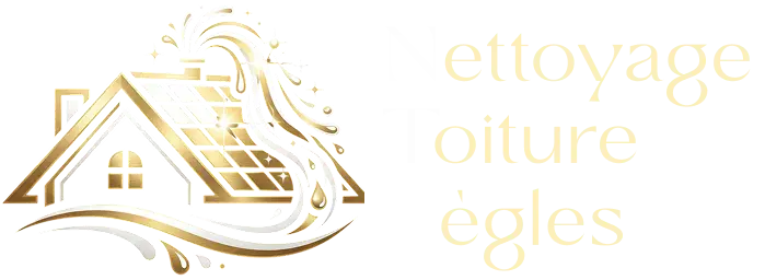 Nettoyage Toiture Bègles